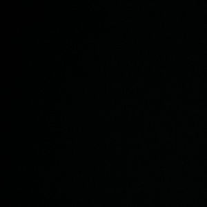 Meet your Posher, Sue